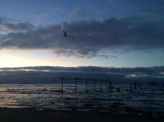 740EA3A3-8D5F-4DF8-B66B-B0FF691B7074