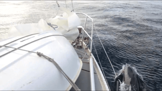 55D3399E-B23F-47F9-9B01-5A7368E64112