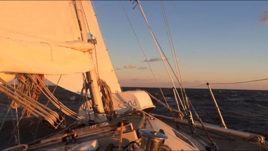 D5910C01-723D-4309-9F78-32CF7E52B893